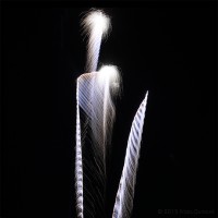 /album/feux/frida-dumont-img-9540-jpg/